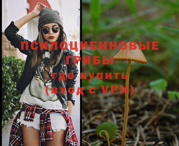 СК Алексеевка
